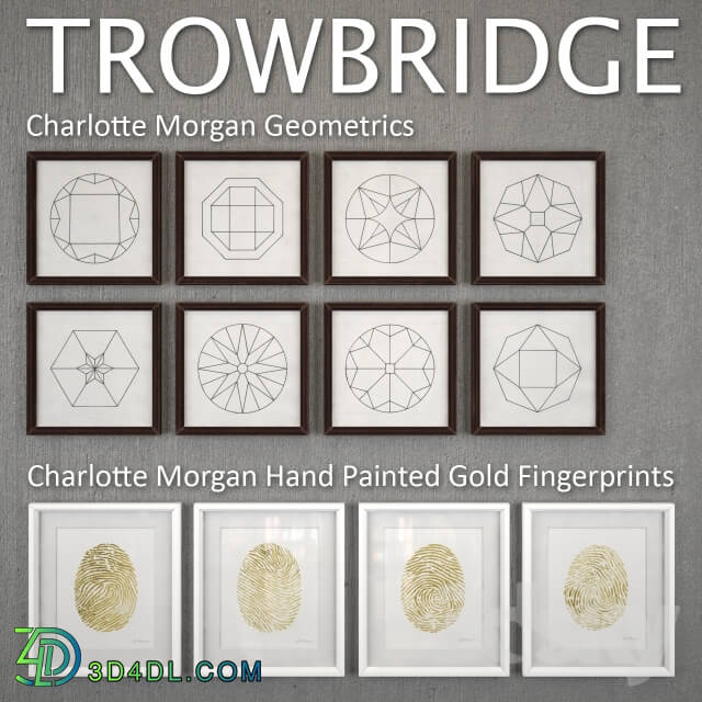 Frame - Pictures Trowbridge Charlotte Morgan