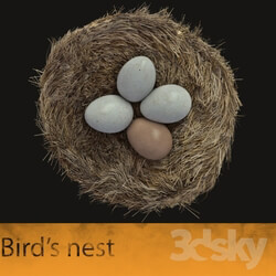 Other architectural elements - Bird__39_s nest 