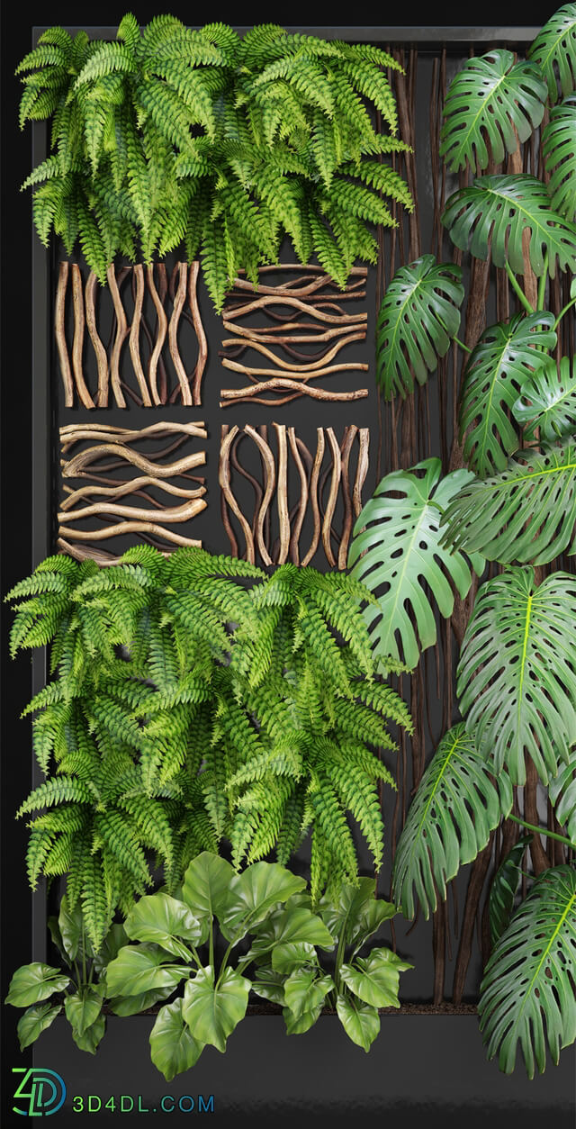 Plant - Vertical garden 2