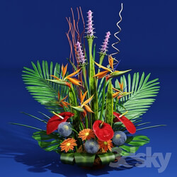 Plant - Bouquet 