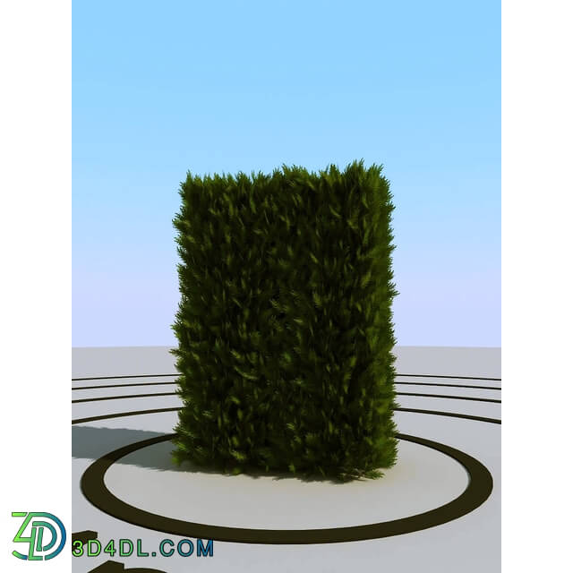 3dMentor HQPlants-02 (020) thuja hedge