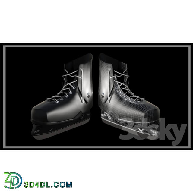 Sports - Skates Dynamo