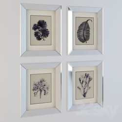 Frame - Pictures Of Blue Coral _ 