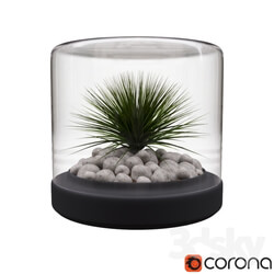 Plant - Vase with grass 