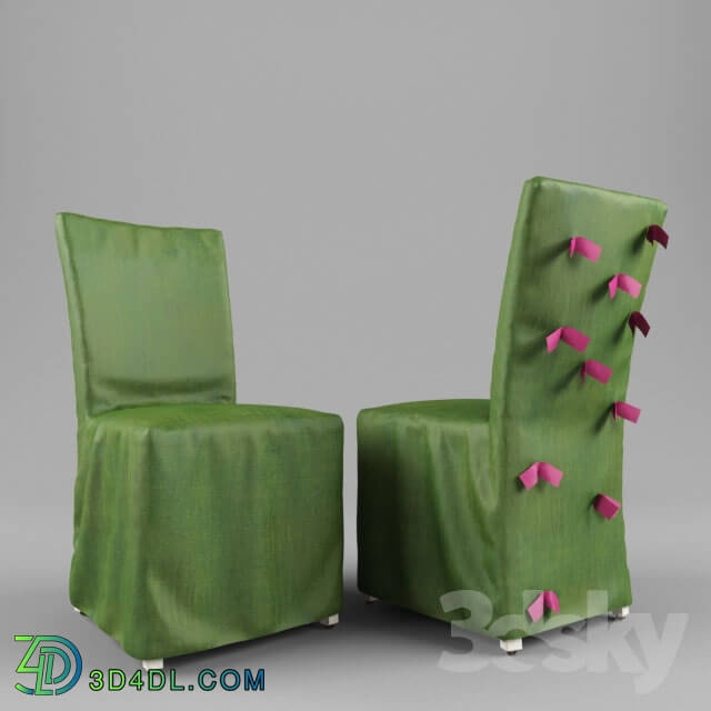 Chair - chair cover