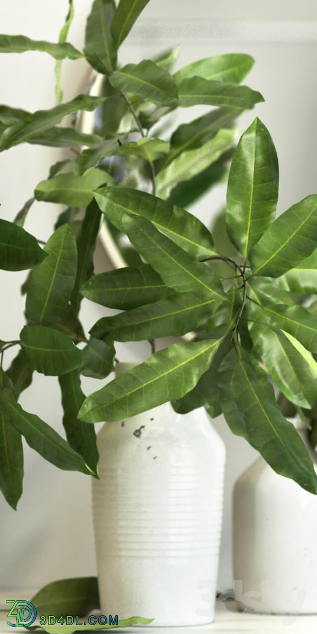 Plant - branches in a vase