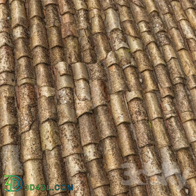 Miscellaneous - Roof tiles _photogrammetry_