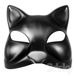 Miscellaneous - cat mask 