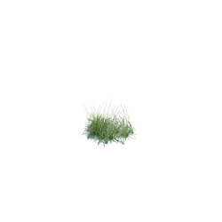ArchModels Vol124 (133) simple grass small v1 