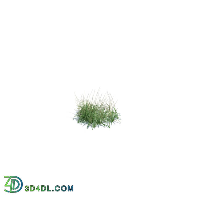ArchModels Vol124 (133) simple grass small v1