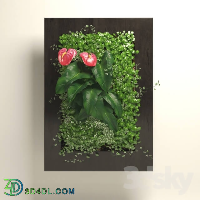 Plant - Fitowall_4