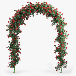 Plant - Rose Arch 