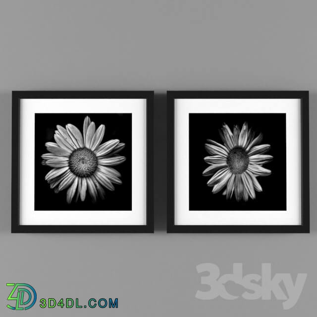 Frame - Frame paint flower