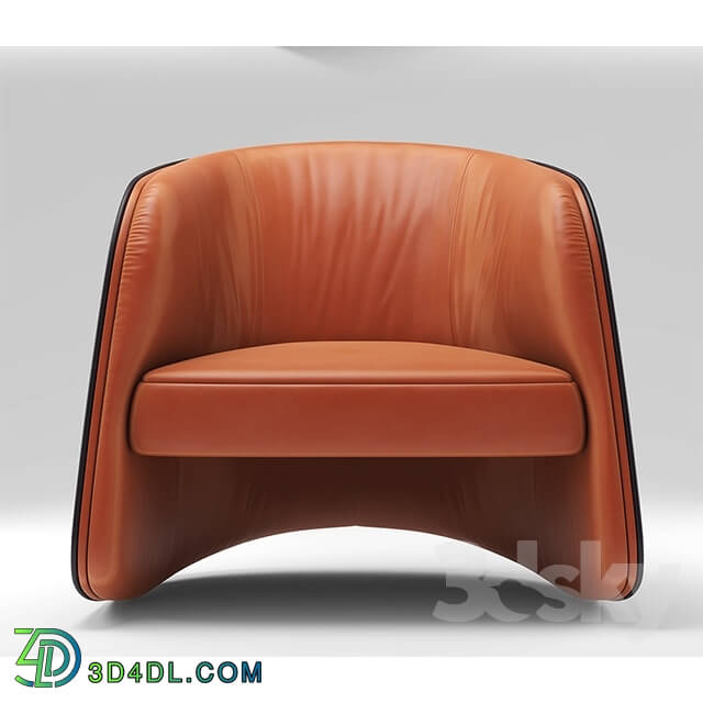 Arm chair - Chair de sede DS-900