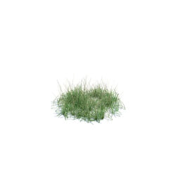 ArchModels Vol124 (134) simple grass medium v2 