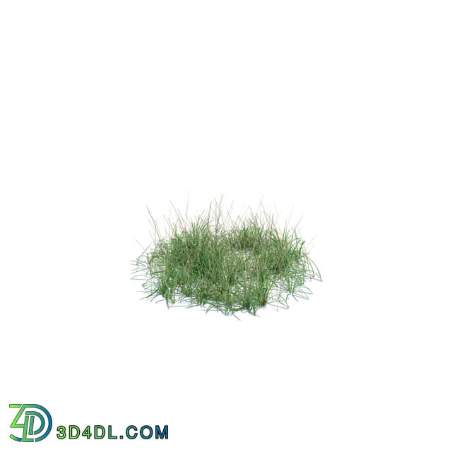 ArchModels Vol124 (134) simple grass medium v2