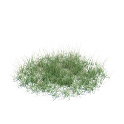 ArchModels Vol124 (135) simple grass large v3 