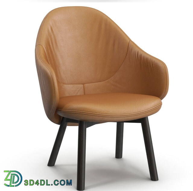 Chair - Ton Alba lounge armchair