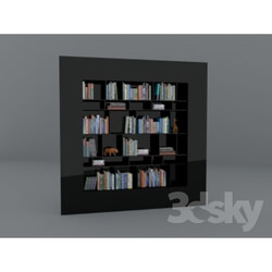 Wardrobe _ Display cabinets - Tonin_biblioteka 