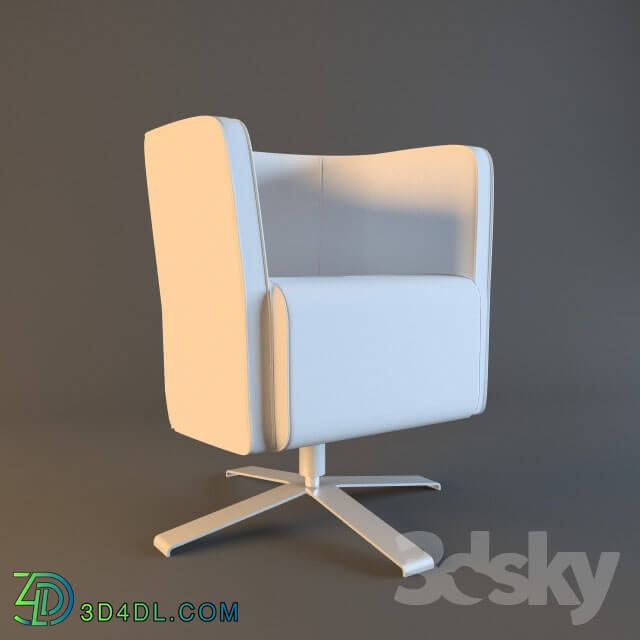 Arm chair - Desk Chair