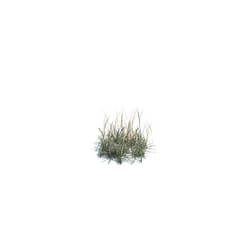 ArchModels Vol124 (136) simple grass small v1 