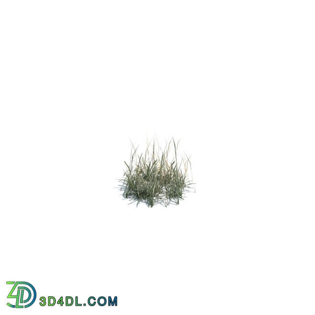ArchModels Vol124 (136) simple grass small v1