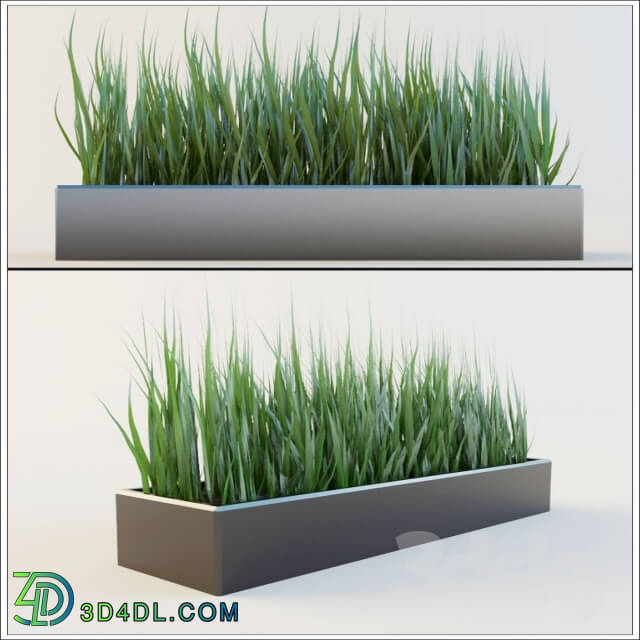 Plant - Flowerpot with grass