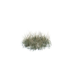 ArchModels Vol124 (137) simple grass medium v2 