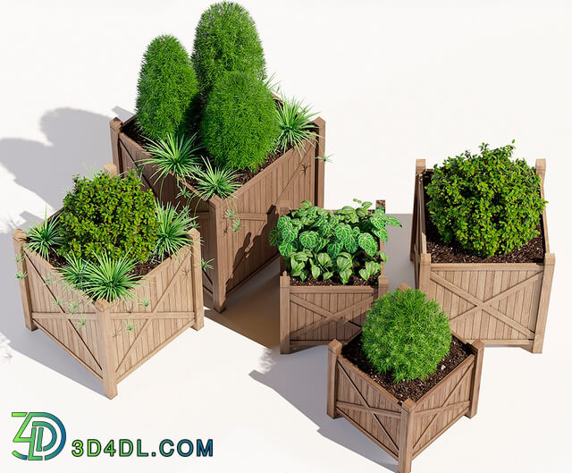 Plant - Porth cube planter