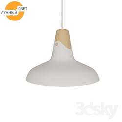 Ceiling light - Suspension light 482206 WH 