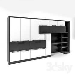 Wardrobe _ Display cabinets - the closet 