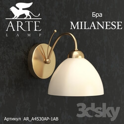 Wall light - Bra ARTE LAMP MILANESE AR_A4530AP-1AB 