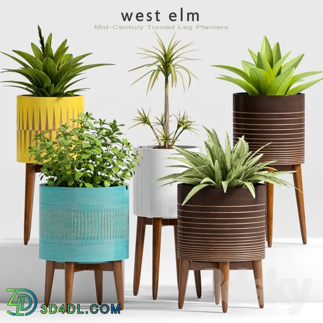 Plant - Plant Set -24