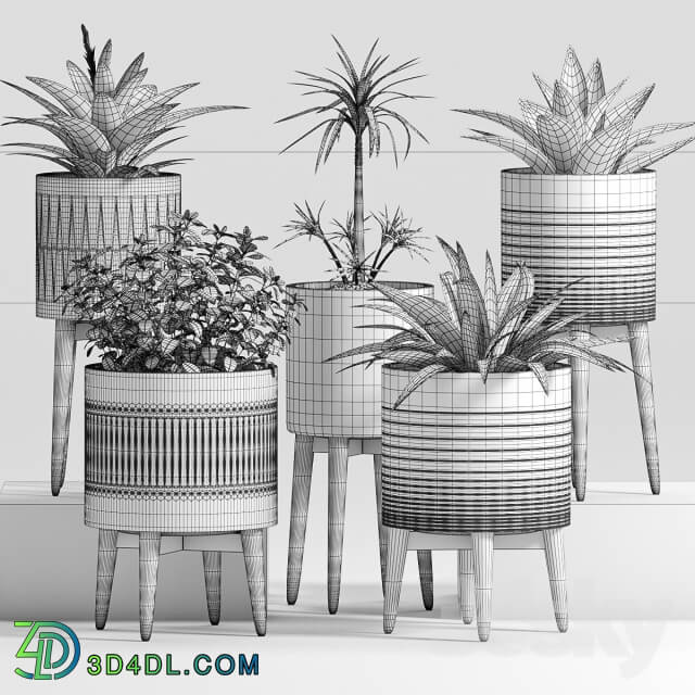 Plant - Plant Set -24