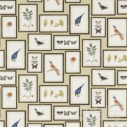 Wall covering - Sanderson Wallpaper 