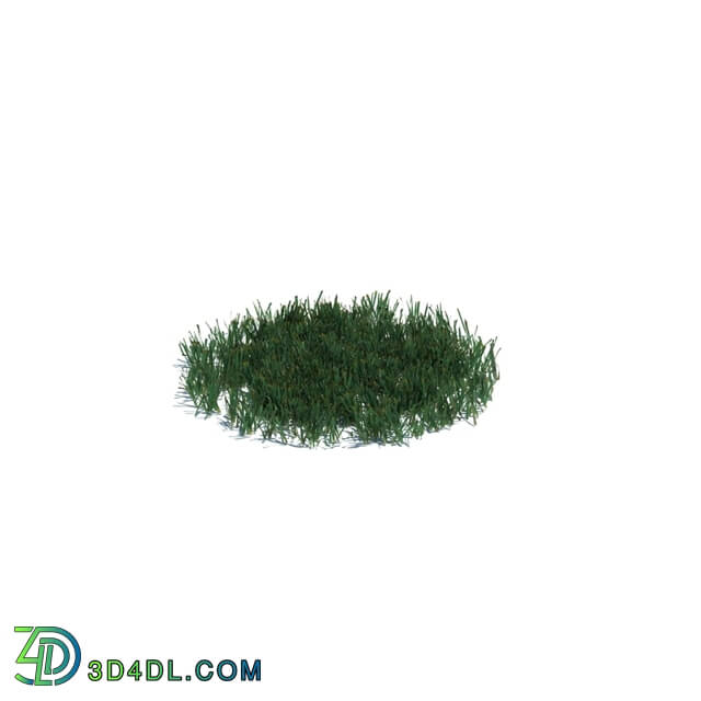 ArchModels Vol126 (017) simple grass medium v2