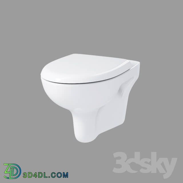 Toilet and Bidet - nature_new_clean