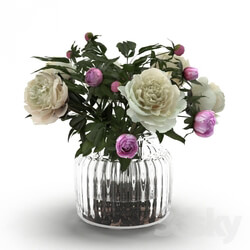 Plant - Cream Peonies in ribbed glass vase 