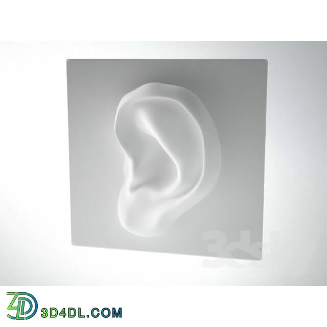 Sculpture - The Sculpture _The Ear_