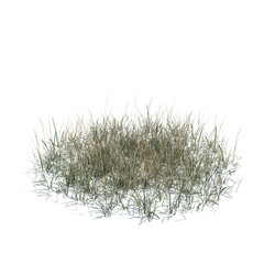 ArchModels Vol124 (138) simple grass large v3 