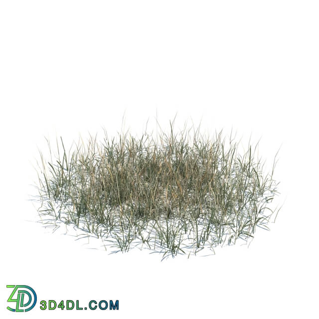 ArchModels Vol124 (138) simple grass large v3