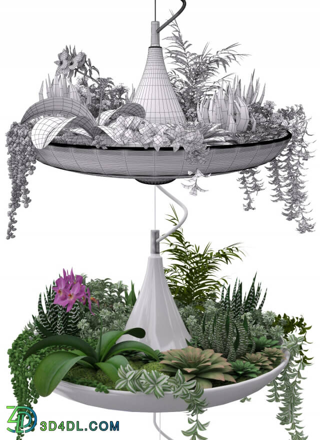 Plant - Babylon Plantable Lamp vol.4