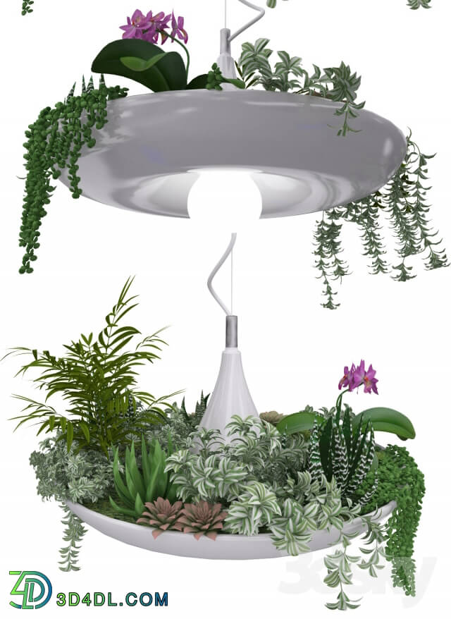 Plant - Babylon Plantable Lamp vol.4