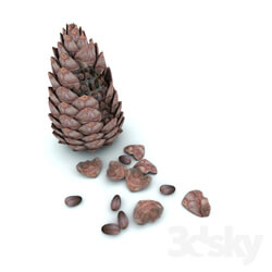 Miscellaneous Pine nuts cones 