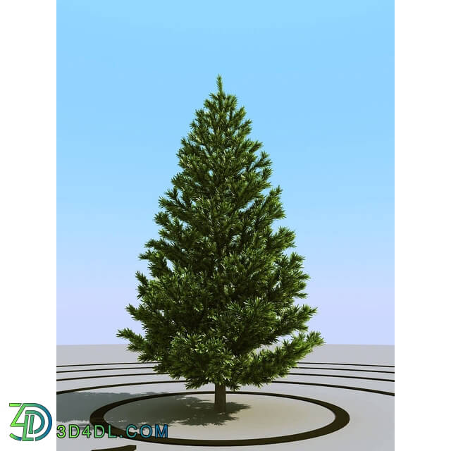 3dMentor HQPlants-02 (028) fir 3