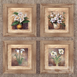 Frame - Rustic Mexican Paints 