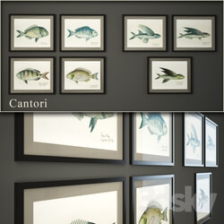 Frame - Cantori_ Pesci _fish_ 