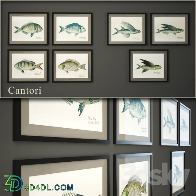 Frame - Cantori_ Pesci _fish_