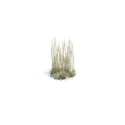 ArchModels Vol124 (139) simple grass small v1 