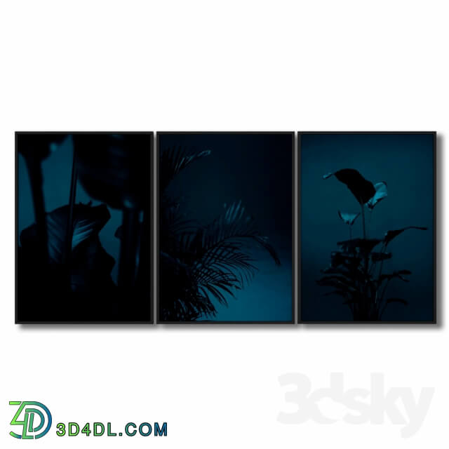 Frame - Dark plants.
